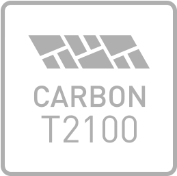 T2100